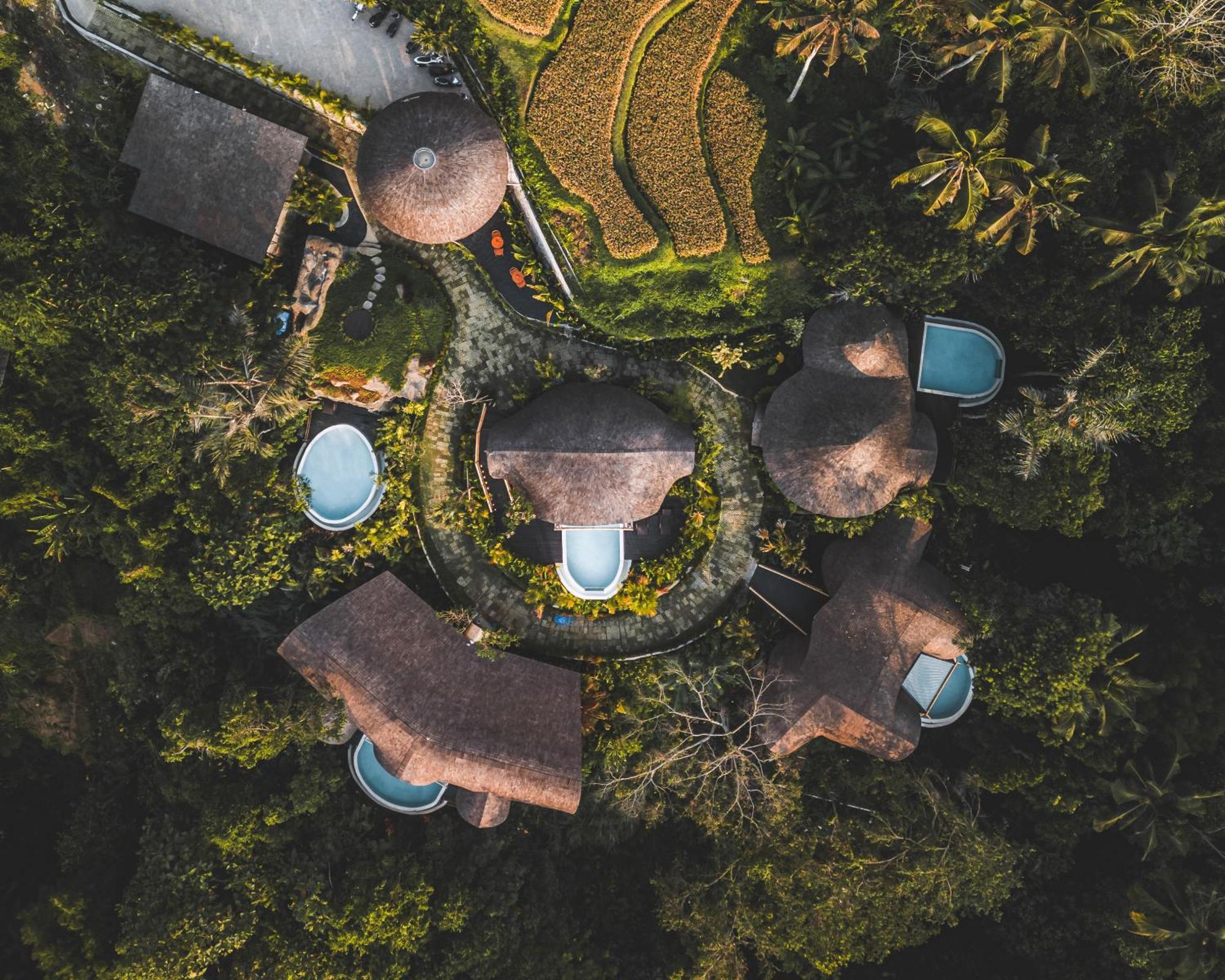 Hotel Jungleight Bali Tegallalang  Zewnętrze zdjęcie